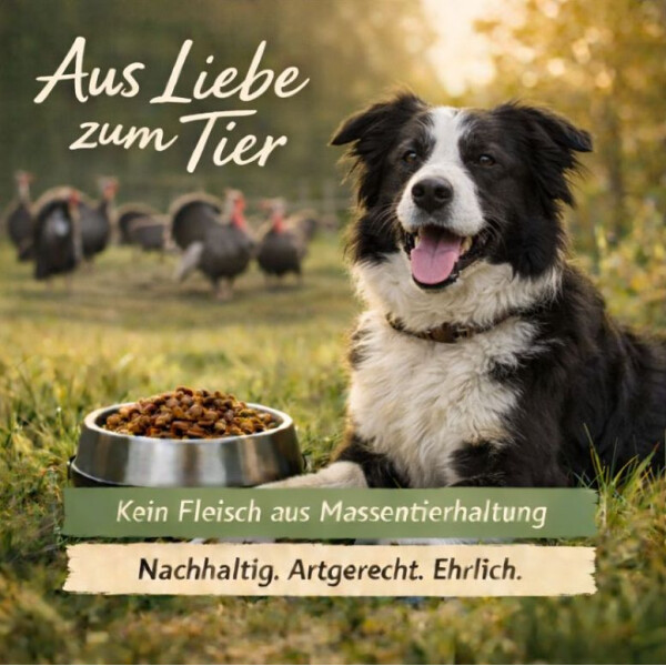 Truthahn & Preiselbeeren