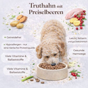 Truthahn & Preiselbeeren