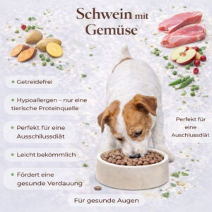 Schwein & Gemüse
