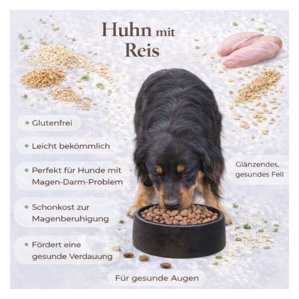 Huhn & Reis