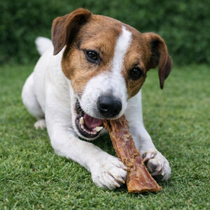 Rindernackensehne kurz 250g