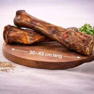 Pferdeunterbeine 1 Stück