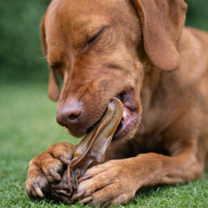 Pferdeohren ohne Fell 250g