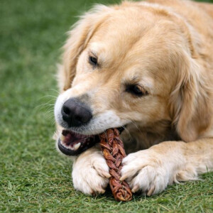 Ziegenziemer - Zopf 250g