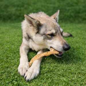 Achillessehne Rind 250g